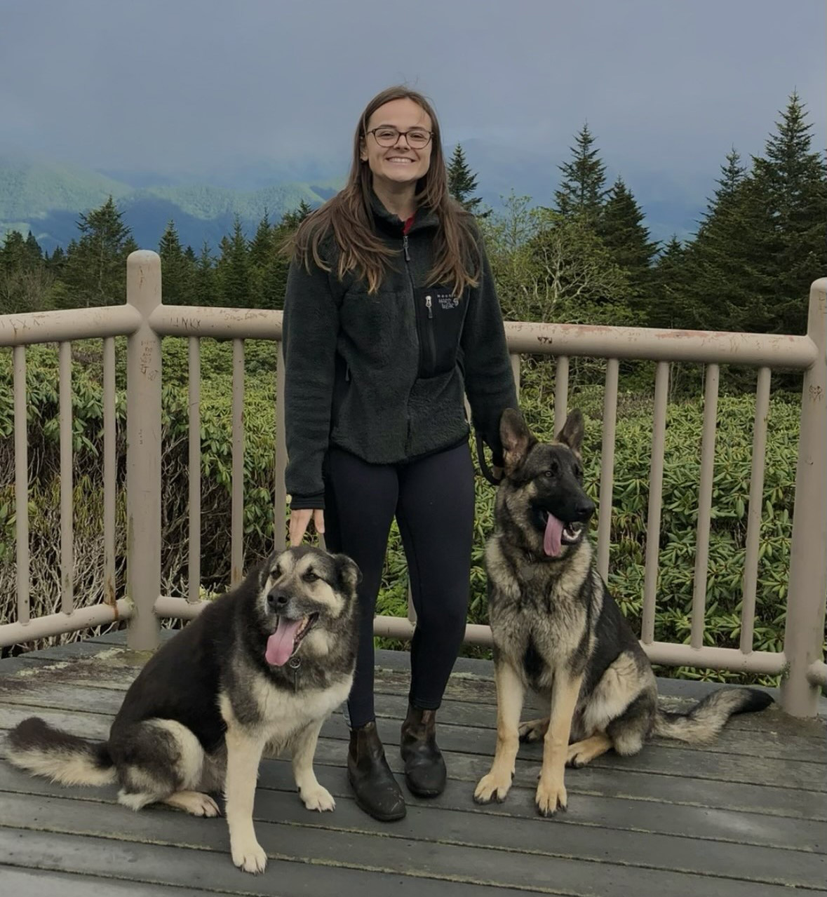 Hines Family Dentistry of Boone | Night Guards, Dental Cleanings and Extractions